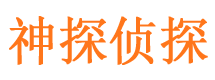 四川市私人调查